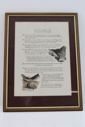 Macallan The Remarkable History Of The Macallan Glenlivet Print No 1 Framed Sara Midda Print