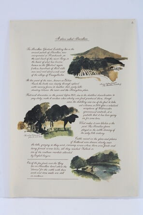 Macallan The Remarkable History Of The Macallan Glenlivet Print No 5 Sara Midda Print