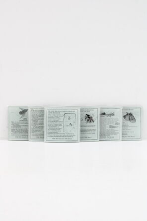 Macallan  Glass Coasters  Set of 4